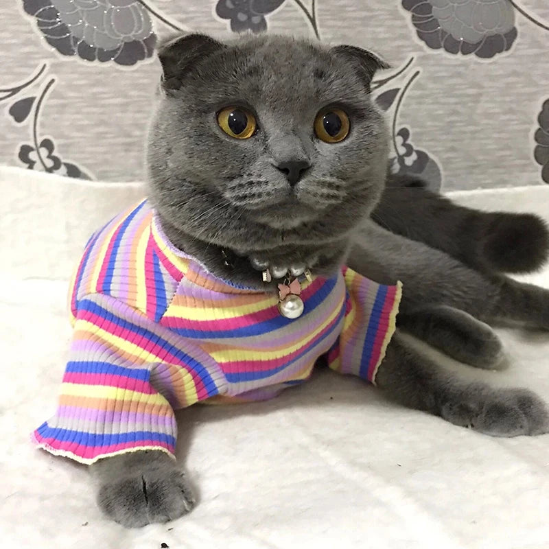 πΎ Colorful Stripe Sphynx Cat Vest Shirt β π± Soft Cotton Pet Clothes for Small Cats, Kittens & Dogs πΆπ½