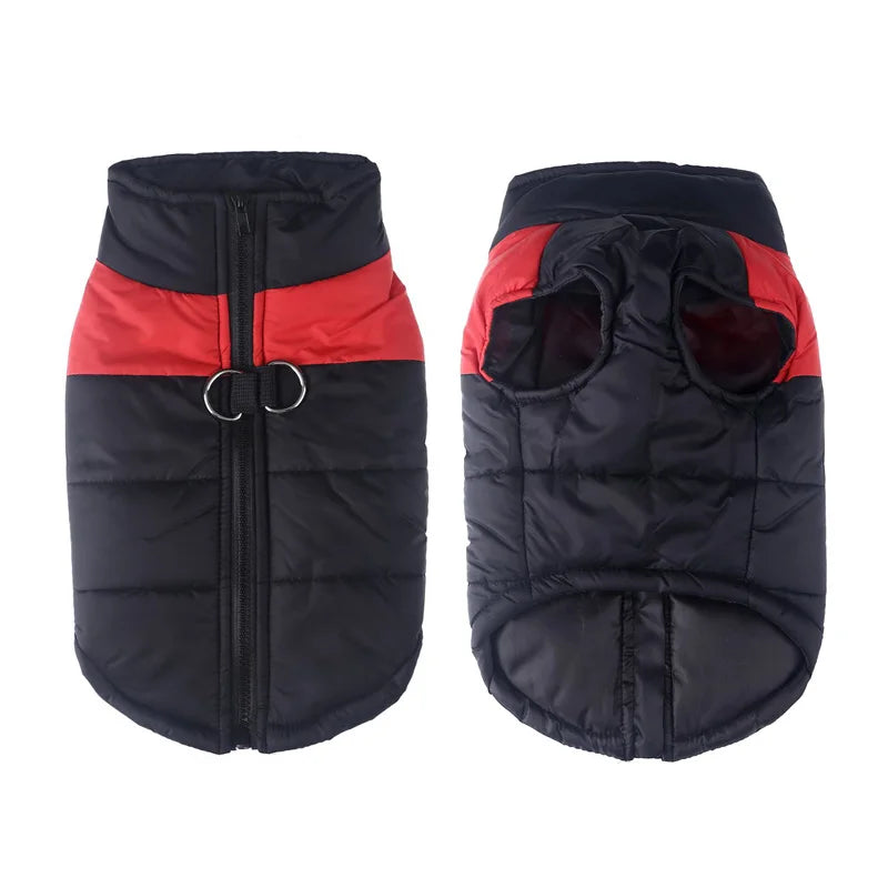 πΆβοΈ Winter Dog Jacket β Waterproof & Cozy for All Sizes! πΎ