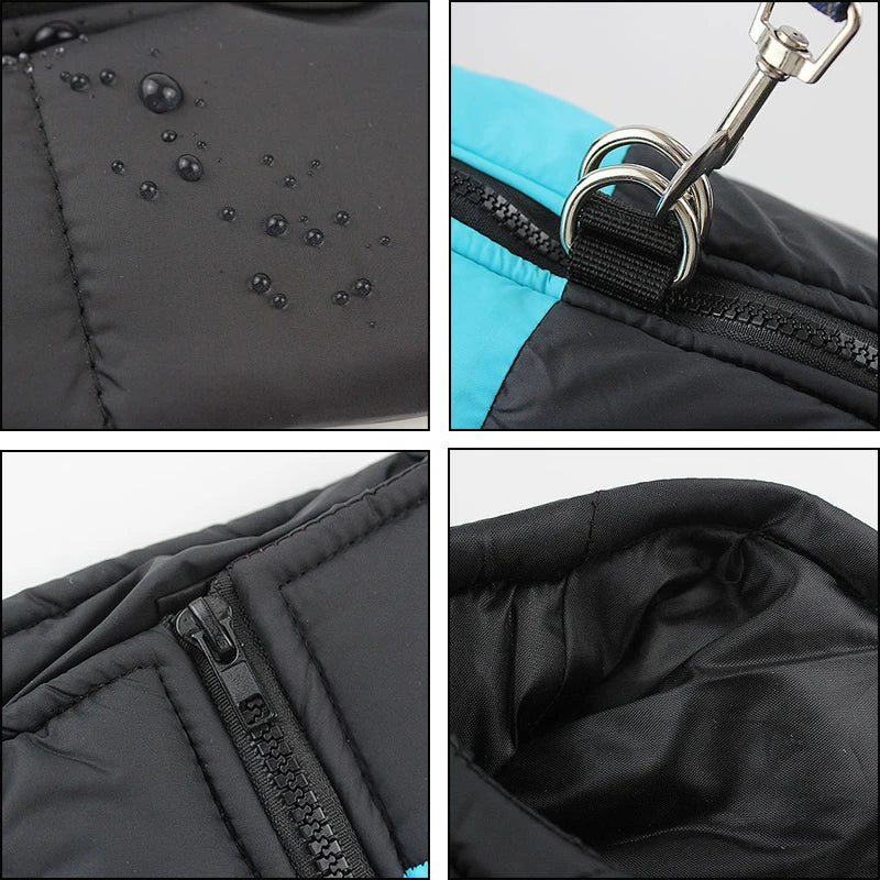 πΆβοΈ Winter Dog Jacket β Waterproof & Cozy for All Sizes! πΎ