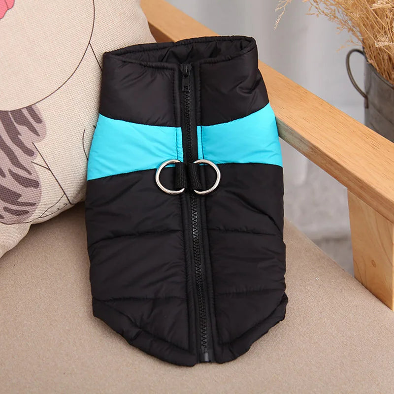 πΆβοΈ Winter Dog Jacket β Waterproof & Cozy for All Sizes! πΎ