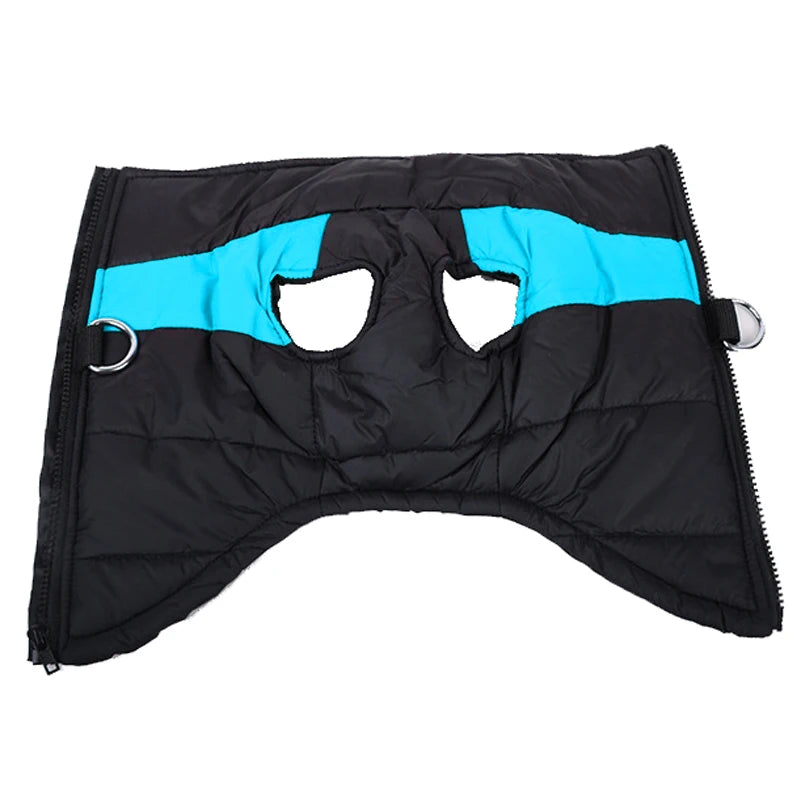 πΆβοΈ Winter Dog Jacket β Waterproof & Cozy for All Sizes! πΎ