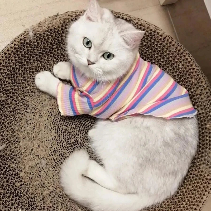 πΎ Colorful Stripe Sphynx Cat Vest Shirt β π± Soft Cotton Pet Clothes for Small Cats, Kittens & Dogs πΆπ½