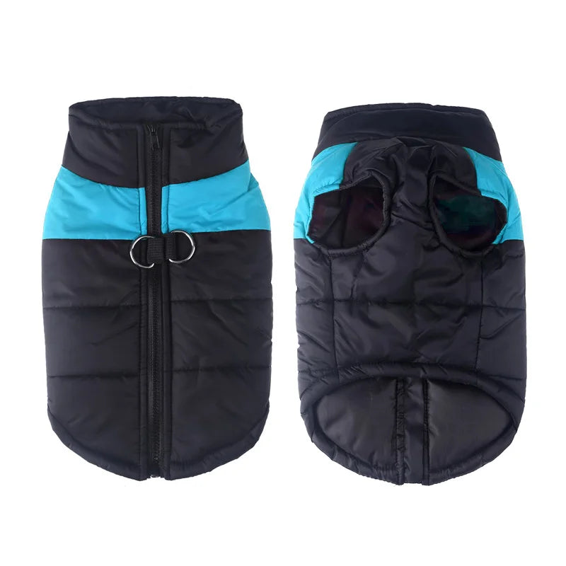 πΆβοΈ Winter Dog Jacket β Waterproof & Cozy for All Sizes! πΎ