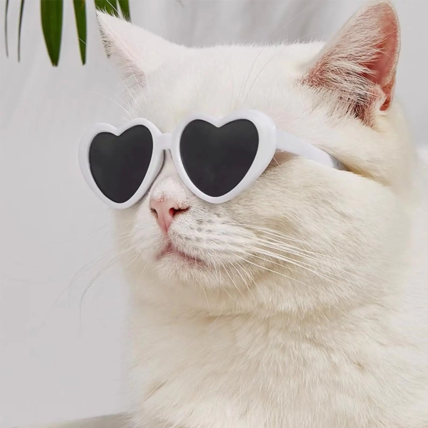 Cat/Dog Heart Shaped Sunglasses – Pet Stylish Funny Cute Dress Up Accessories for Festival Party Cosplay Outdoor Travel (white)