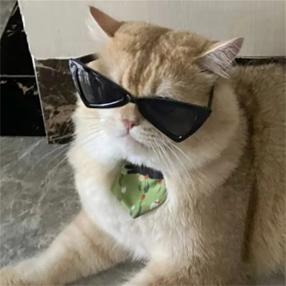 ππ± Pet Sunglasses β Stylish & Windproof for Cats & Pups!