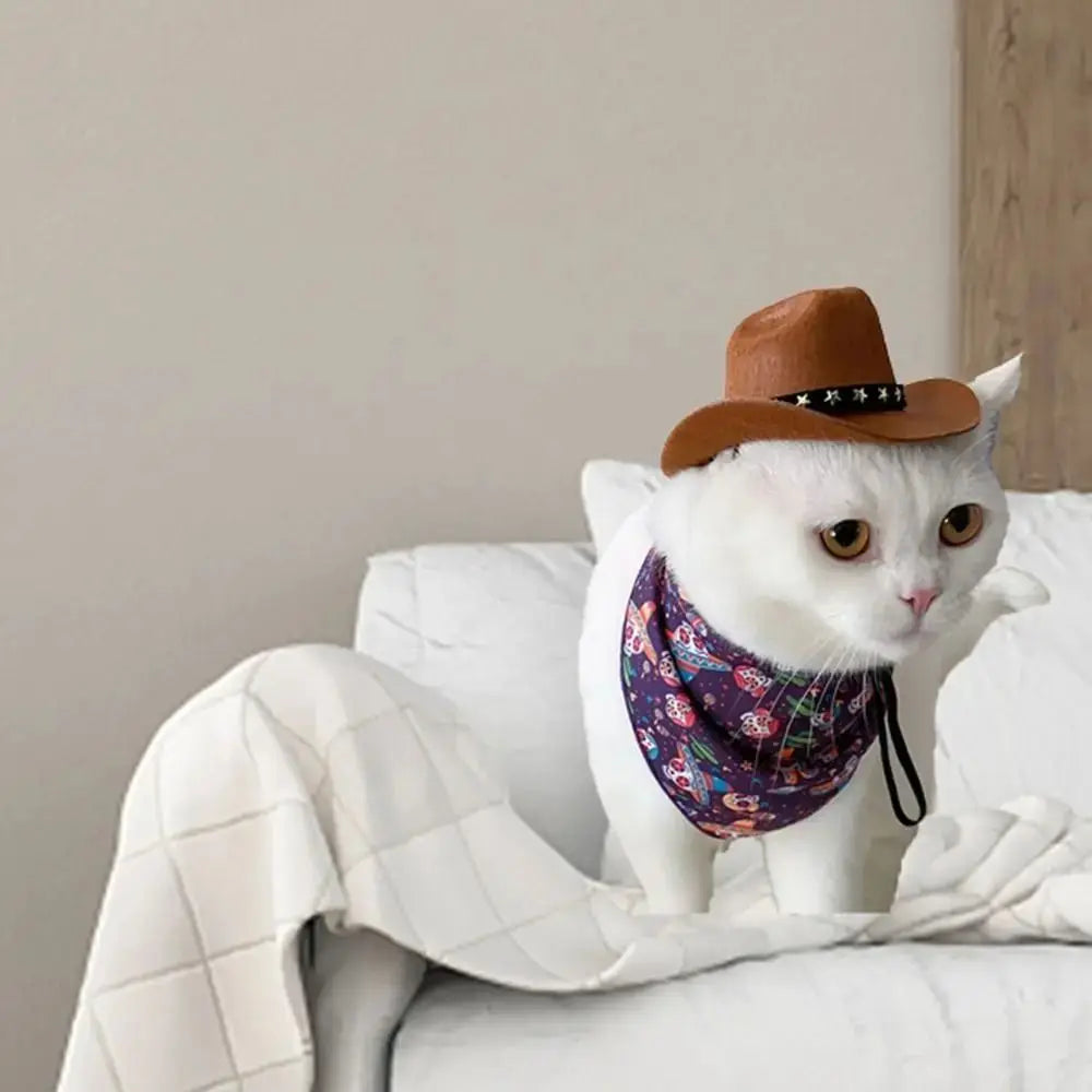 ๐ค ๐พ Adjustable Funny Cowboy Hat โ Cool Summer Pet Accessory!