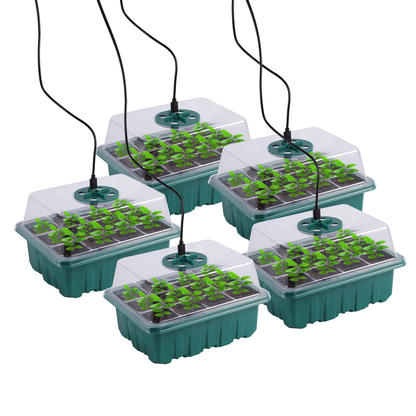 Seed Starter Trays with Grow Light