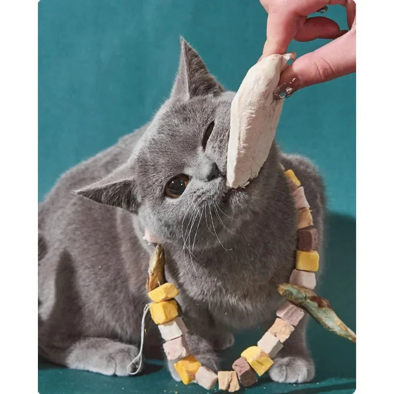 "ππΎ Delicious & Nutritious Pet Snacks β Chicken, Salmon, Beef & Duck Cubes! πΆπ±π₯©β¨"