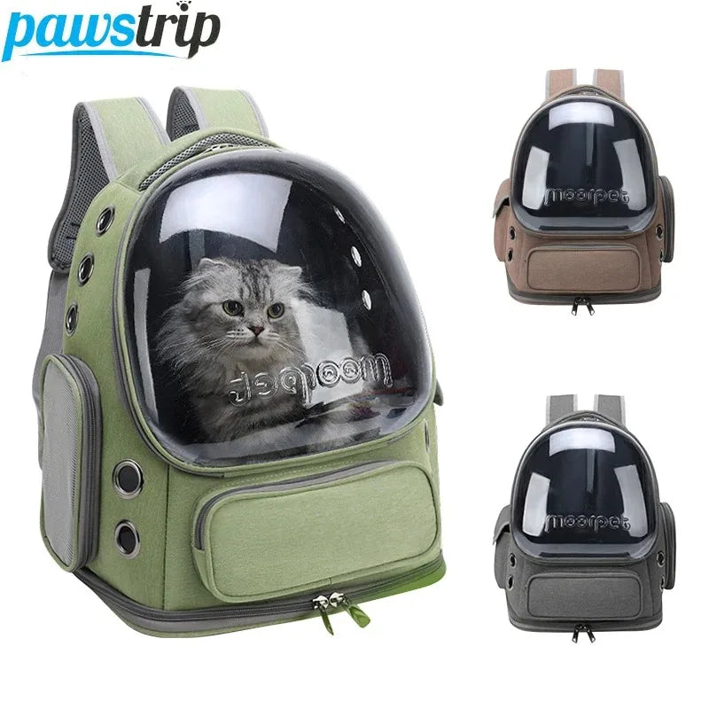 "ππΎ Stylish & Comfy β Transparent Pet Travel Backpack! π±πΆβ¨"