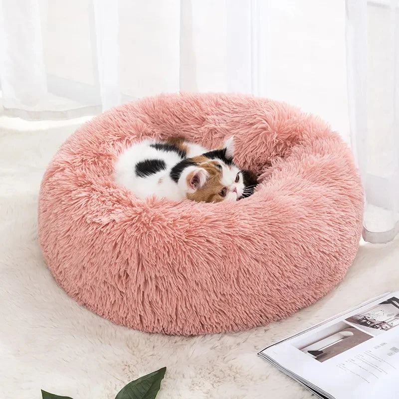 π±ποΈ Soft Round Cat Nest β Cozy, Washable & Perfect for Kittens & Small Dogs!