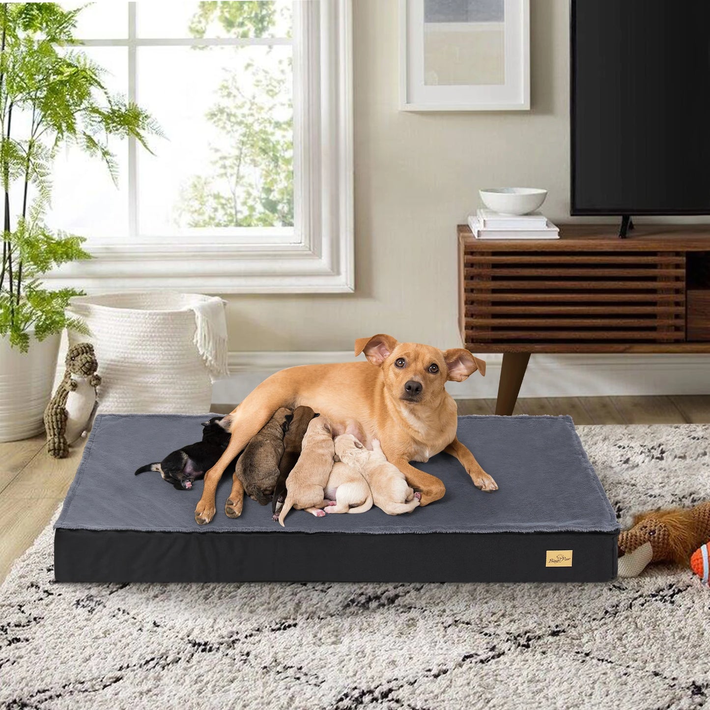 ποΈπ Washable Orthopedic Dog Bed β Comfort for Large Dogs!