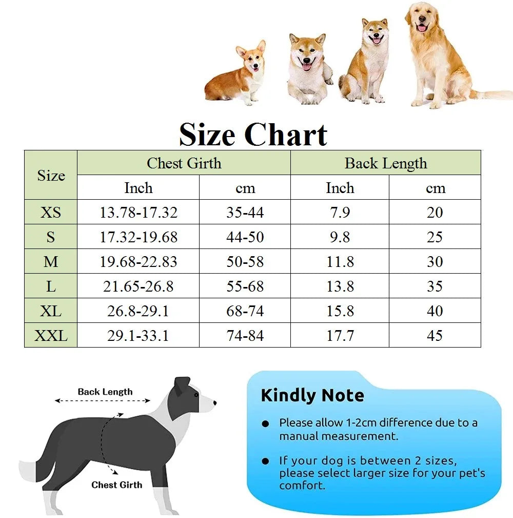 "π¦πΆ Swim Safe & Stylish β Dog Life Jacket for Summer Fun! πβοΈπ"