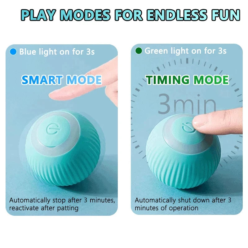 "Magic Cat Ball – Auto-Rolling, Engaging & Fun Indoor Toy! 🎾😻"