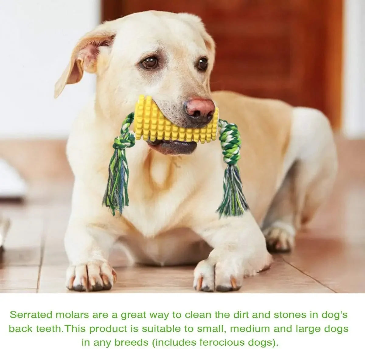 🦷 Toothbrush Bristle Texture | 🐕🦺 For Medium/Large Breeds | 💪 Ultra-Durable TPU Material