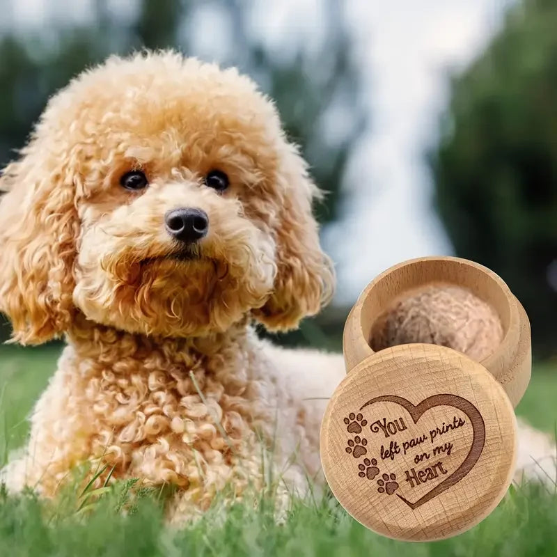 πͺ΅πΆπΎ Pet Memory Box β Hair, Tooth & Ashes Keepsake π±ππ