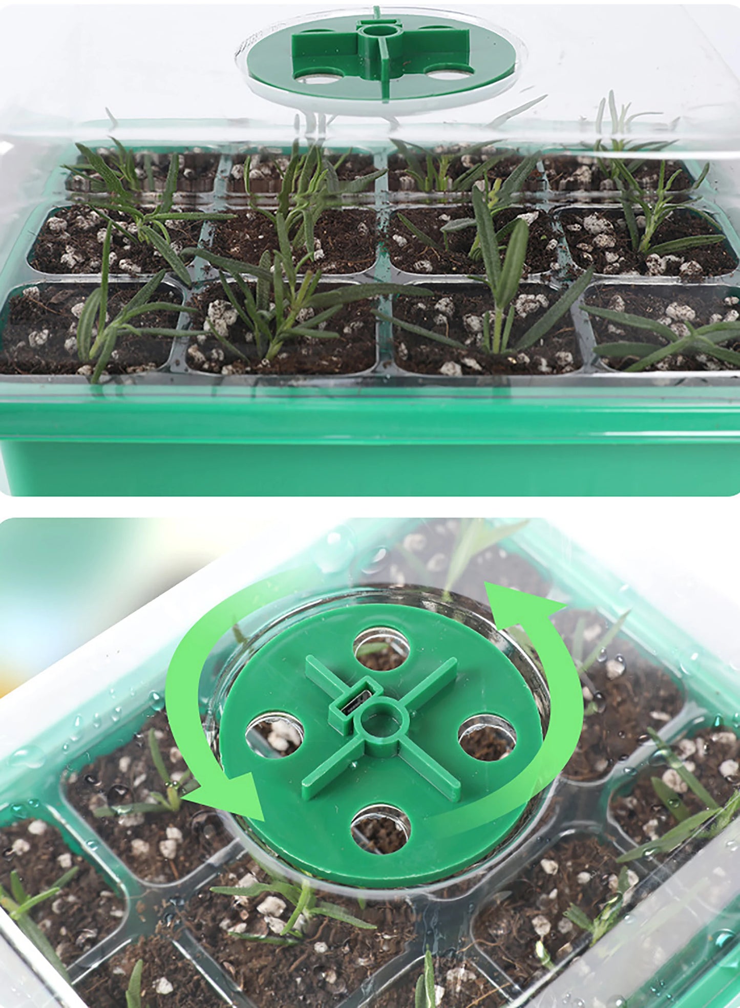 Seed Starter Trays with Grow Light