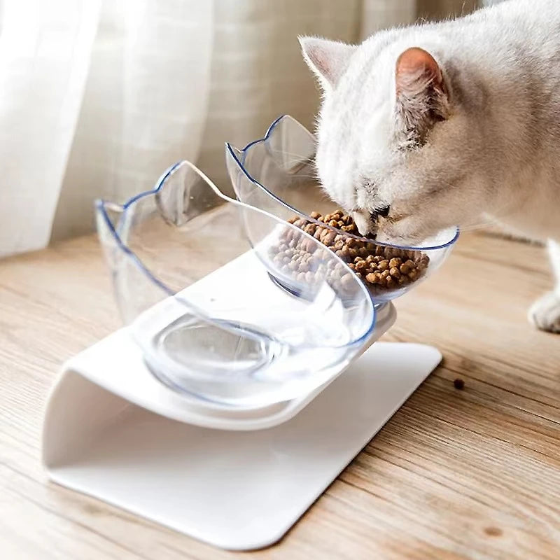 🐾🍽️ Non-Slip Double Pet Bowl – Tilted Stand for Easy Feeding & Drinking! 🐶🐱💧