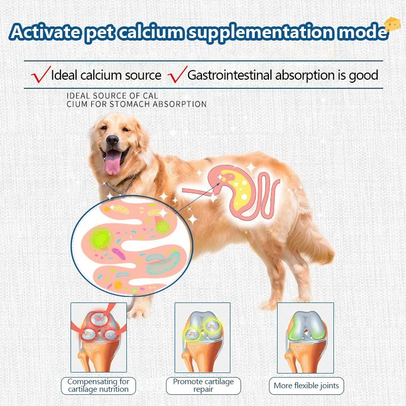 ๐ง๐พ Freeze-Dried Cheese Treats โ High Calcium, Tasty & Great for Digestion! ๐ถ๐ฑโจ
