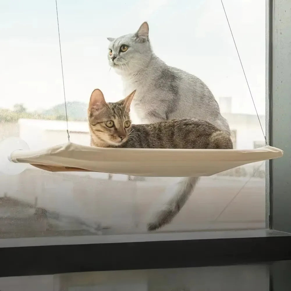 ☁️ Window Cat Hammock – Sunbeam Napping Just Got Luxurious!