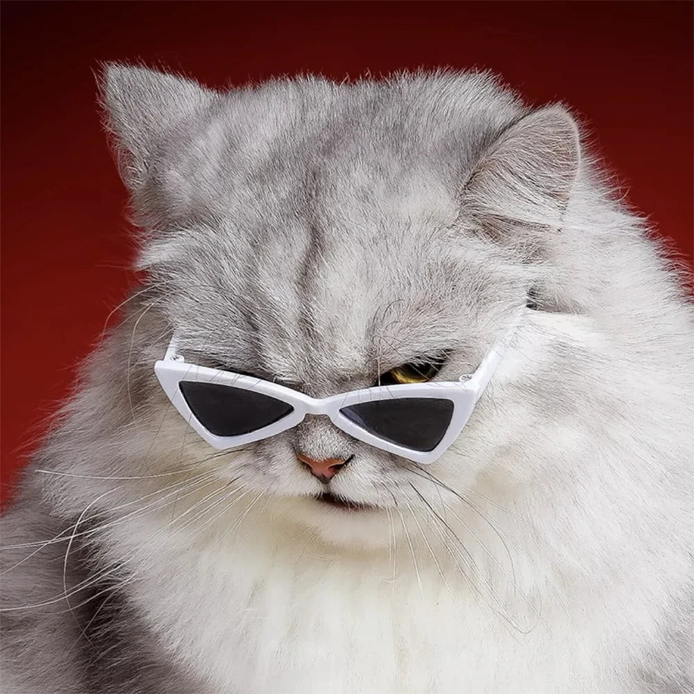 ππ± Pet Sunglasses β Stylish & Windproof for Cats & Pups!
