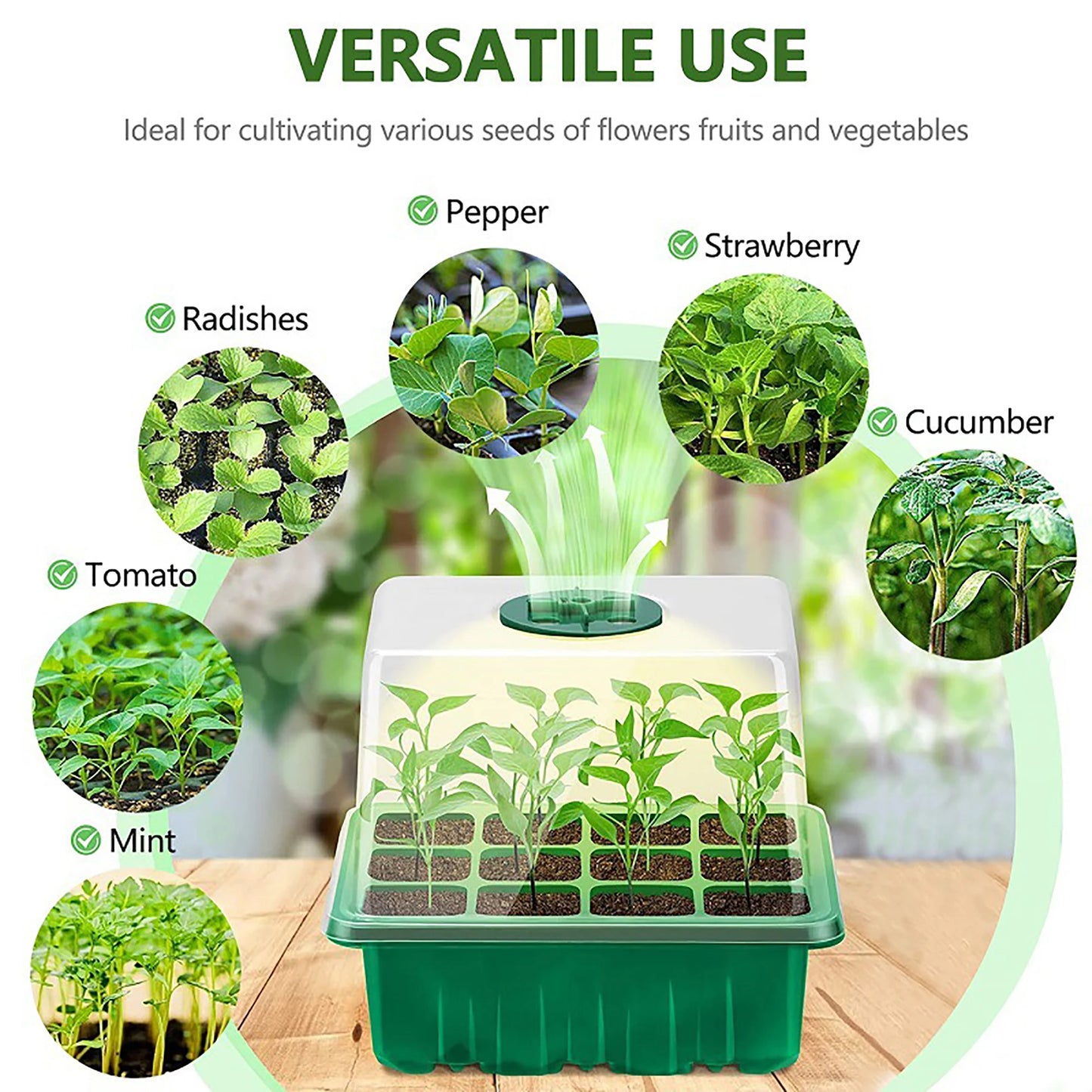 Seed Starter Trays with Grow Light