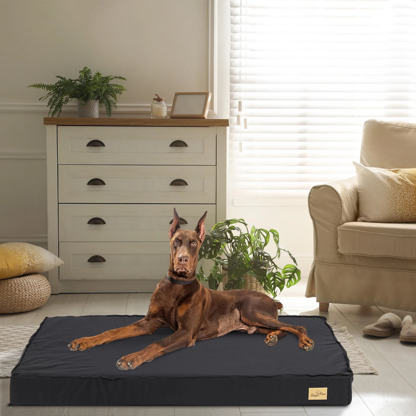 ποΈπ Washable Orthopedic Dog Bed β Comfort for Large Dogs!