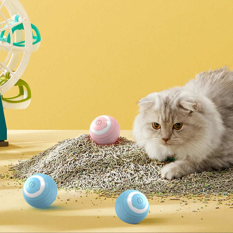 "Magic Cat Ball – Auto-Rolling, Engaging & Fun Indoor Toy! 🎾😻"
