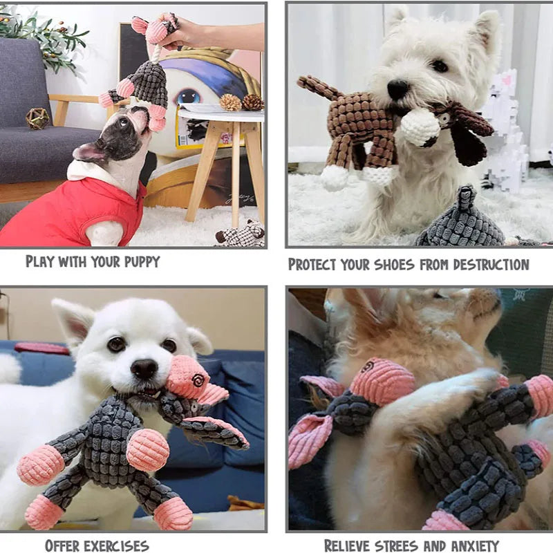 Plush Squeaky Dog Toy 🔥