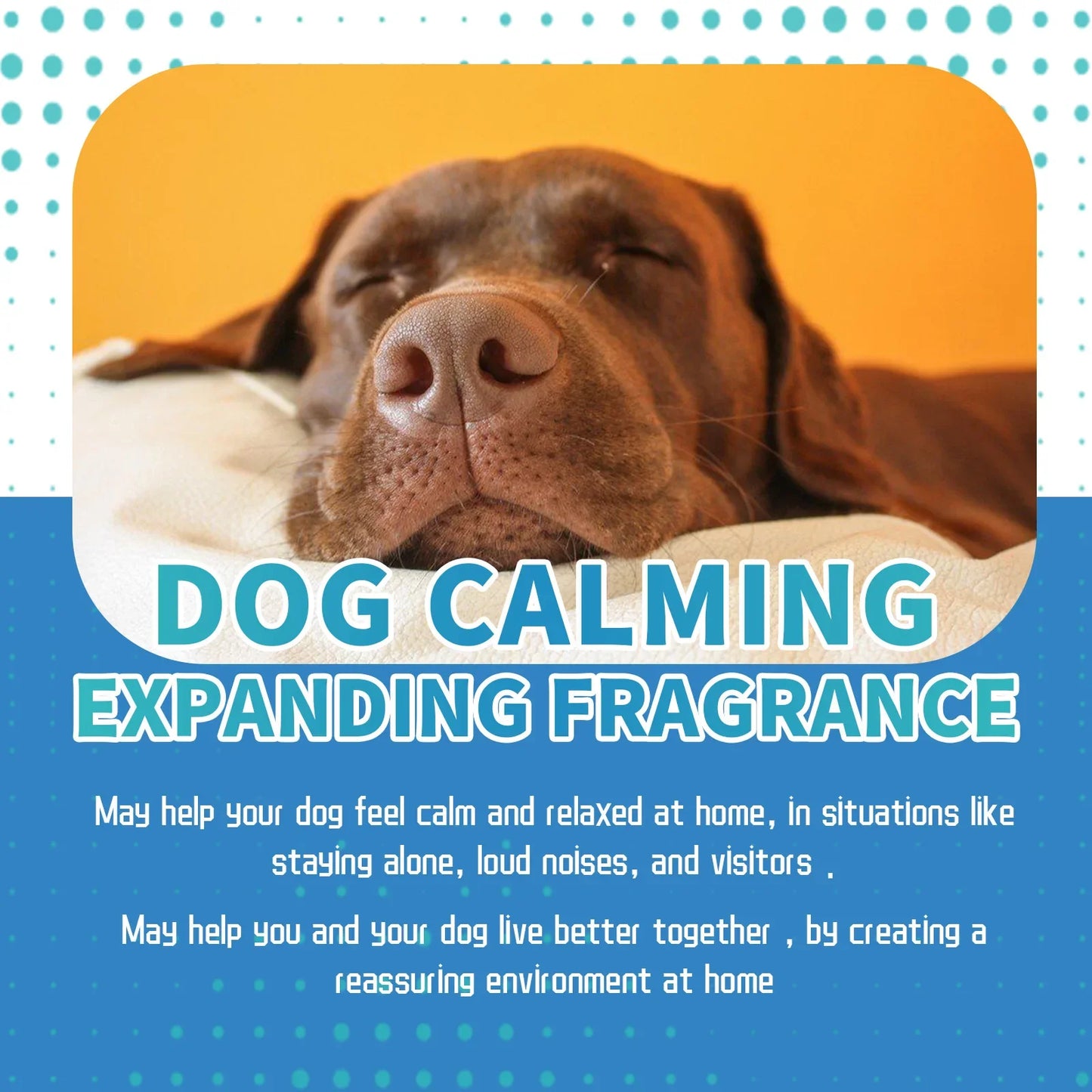 🌿🐾 Calming Liquid for Pets – Reduce Anxiety & Stress!