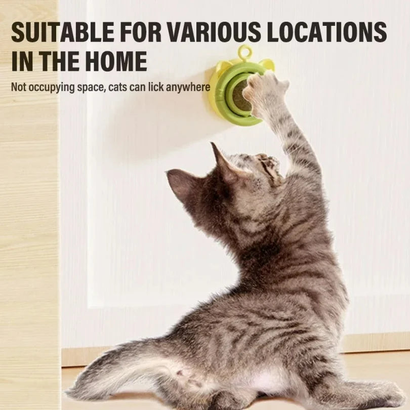 πΎπΏ Natural Catnip Wall Ball Toy β Healthy Treat & Snack for Cats, Aids Digestion πΊπ