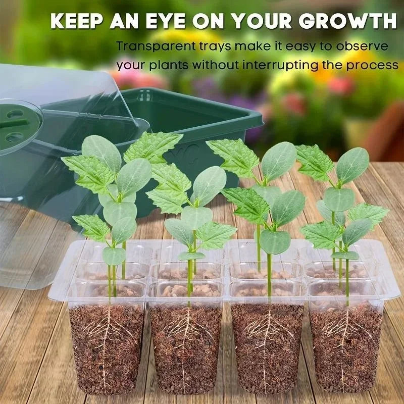 12 Holes Seed Starter Tray Green Plant Kit And Base Mini Greenhouse Germination Kit For Seeds Growing Starting Seedling Tray