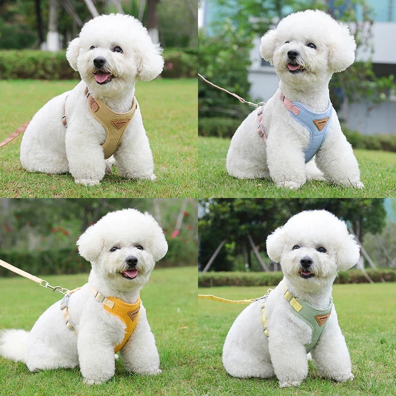 "πΎπ¨ Breathable Puppy Harness & Leash β Perfect Fit for Small to Medium Pets! πΆπ±π"