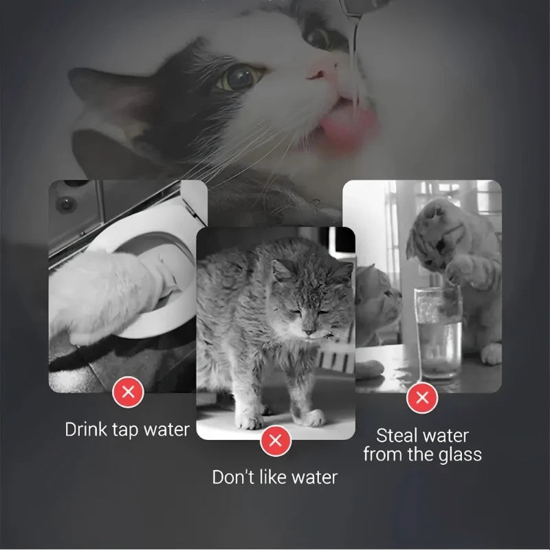 💧🐾 1.8L Silent Pet Water Fountain – BPA-Free, Easy-Clean & Hydration Made Simple! 🐶🐱⚡️✨
