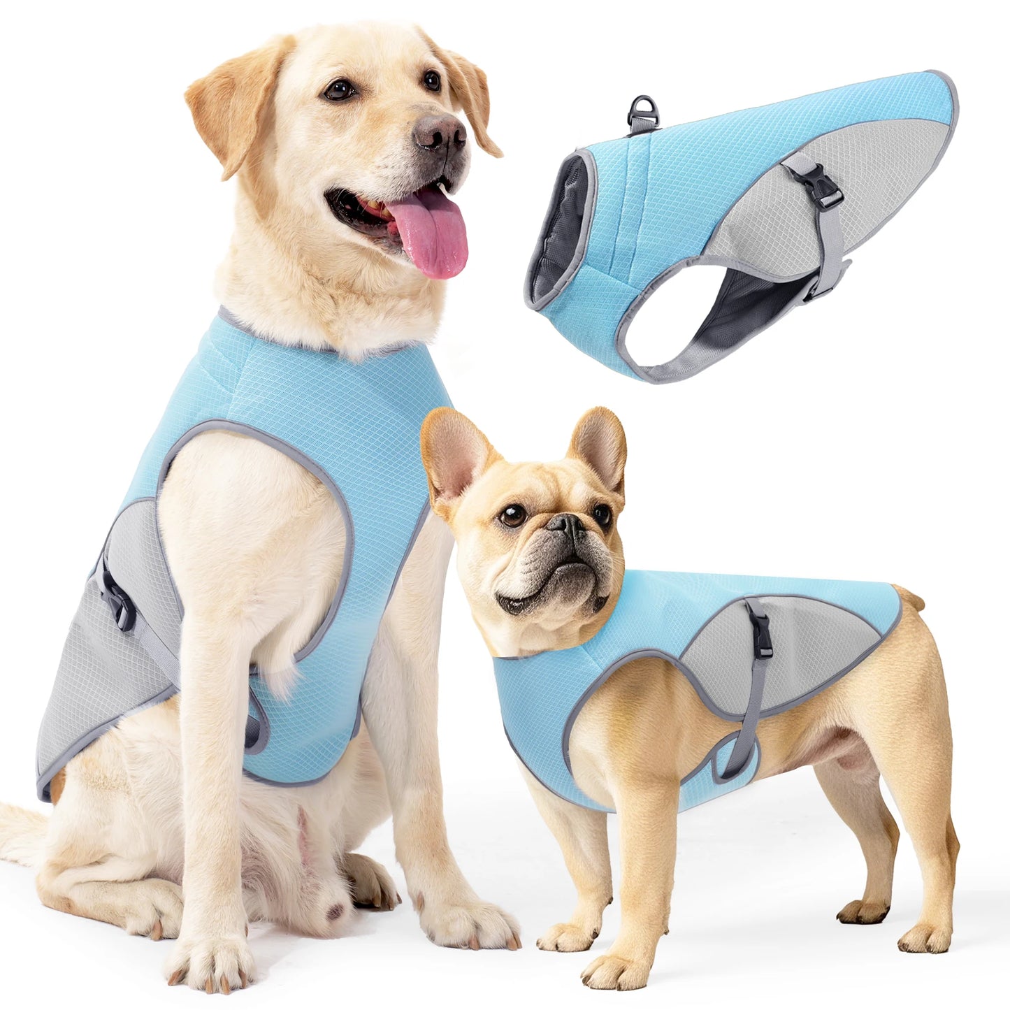 🐾 Instant Cooling Dog Vest with Harness & Water Bottle – Chill Out in Heat! ❄️