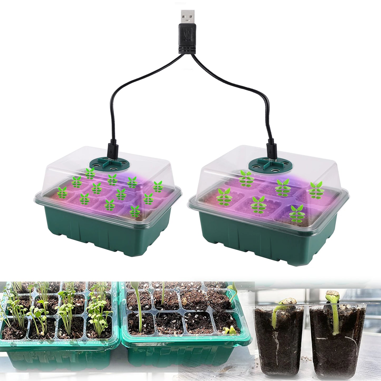 Seed Starter Trays with Grow Light