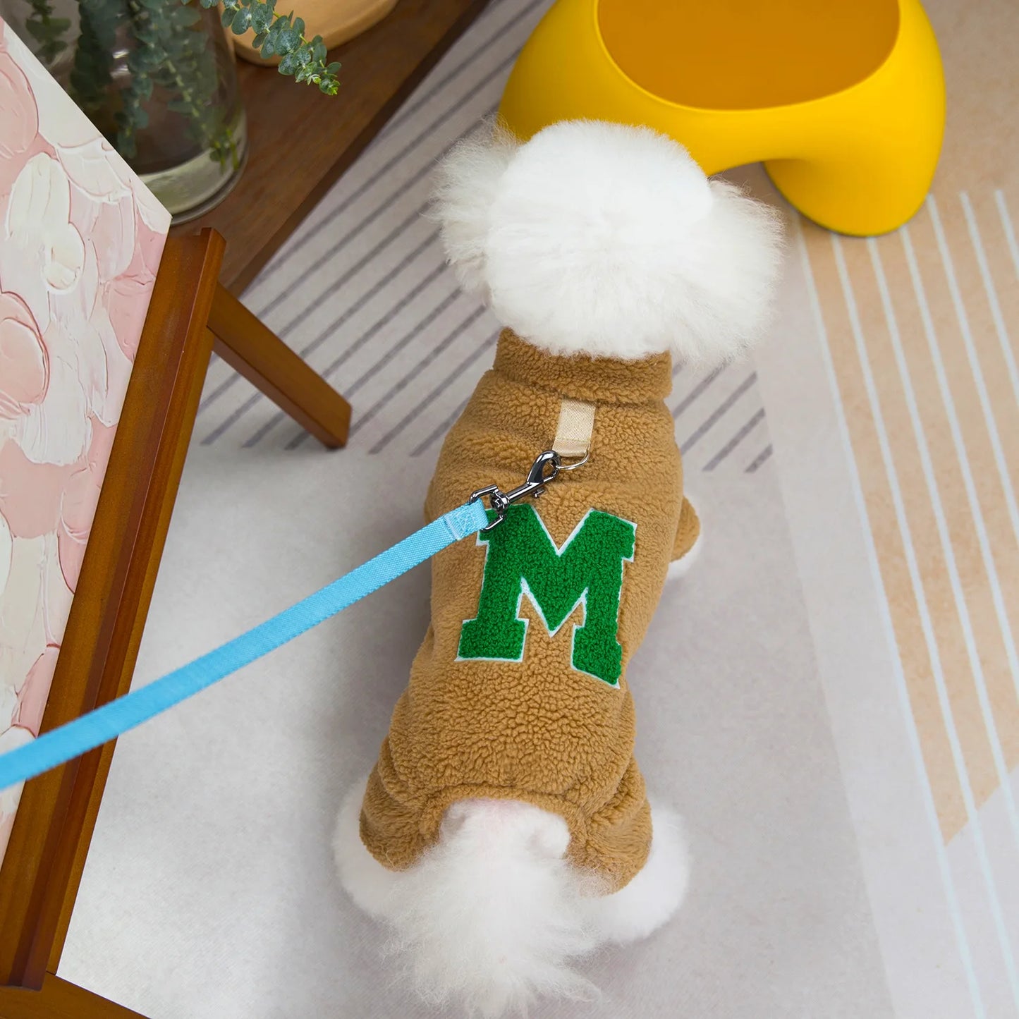 βοΈπΆ Cozy Thermal Dog Pajamas β Soft Velvet Onesies for Small Pets & Winter Snuggles! πΎπ±ποΈβ¨