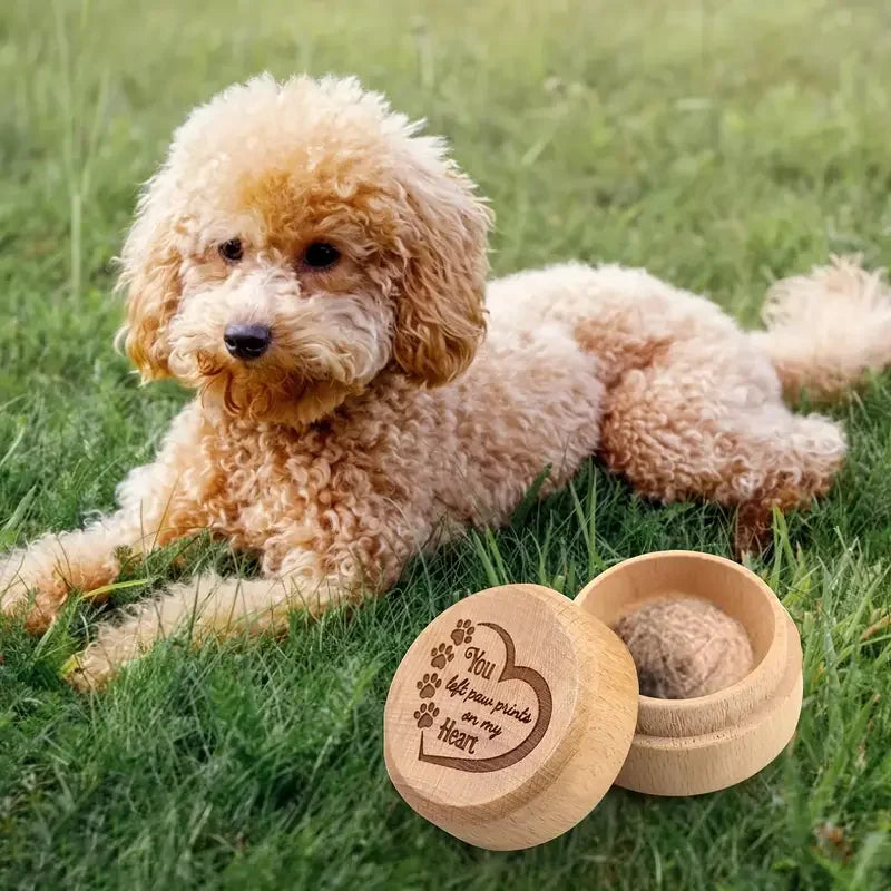 πͺ΅πΆπΎ Pet Memory Box β Hair, Tooth & Ashes Keepsake π±ππ