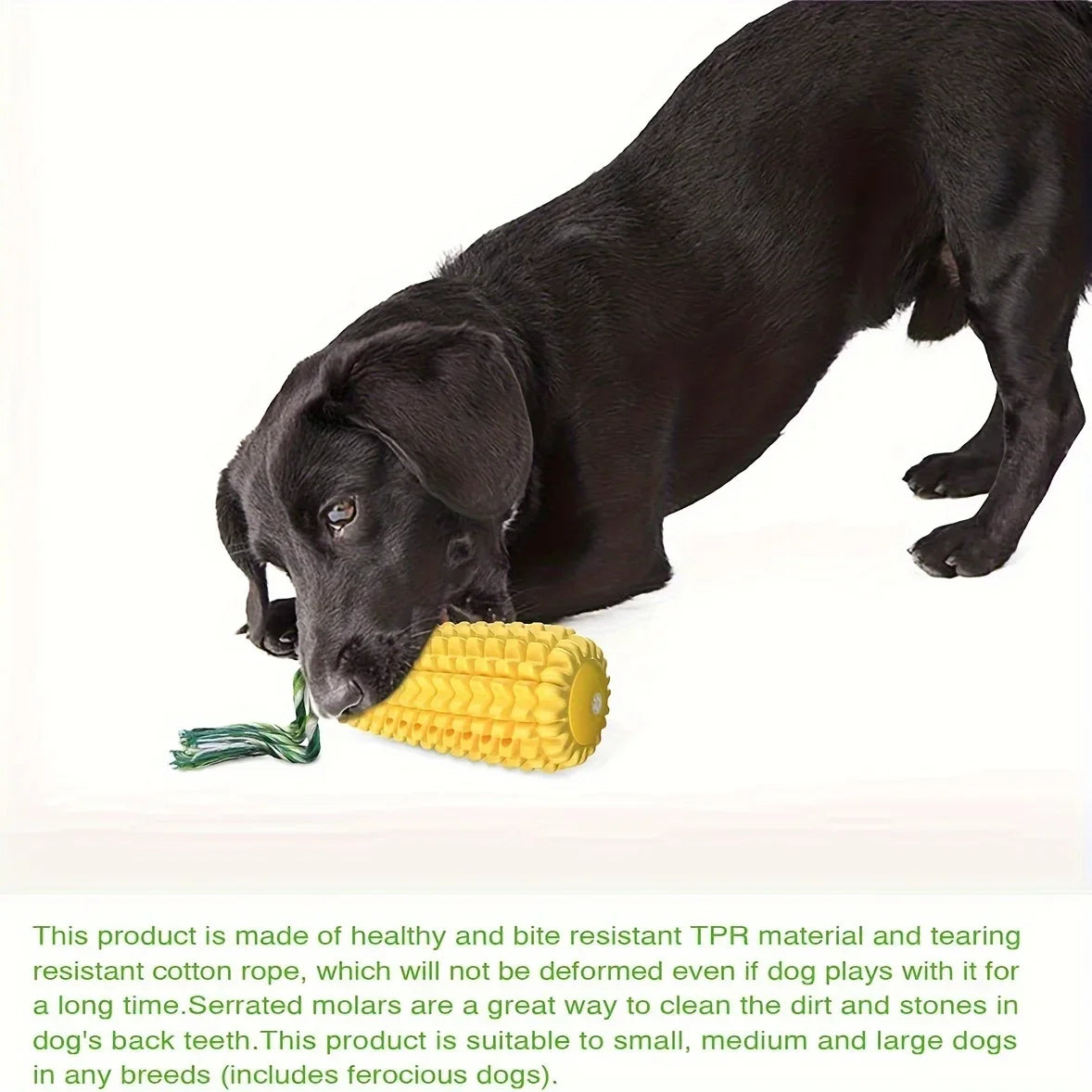 🦷 Toothbrush Bristle Texture | 🐕🦺 For Medium/Large Breeds | 💪 Ultra-Durable TPU Material