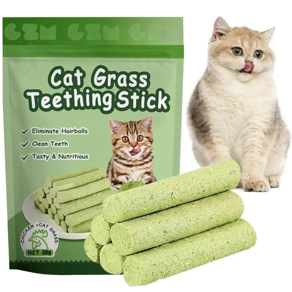 🌿🐱 6-Pack Cat Grass Sticks – Natural Teeth Grinding & Hairball Control for Kittens! 🐾✨
