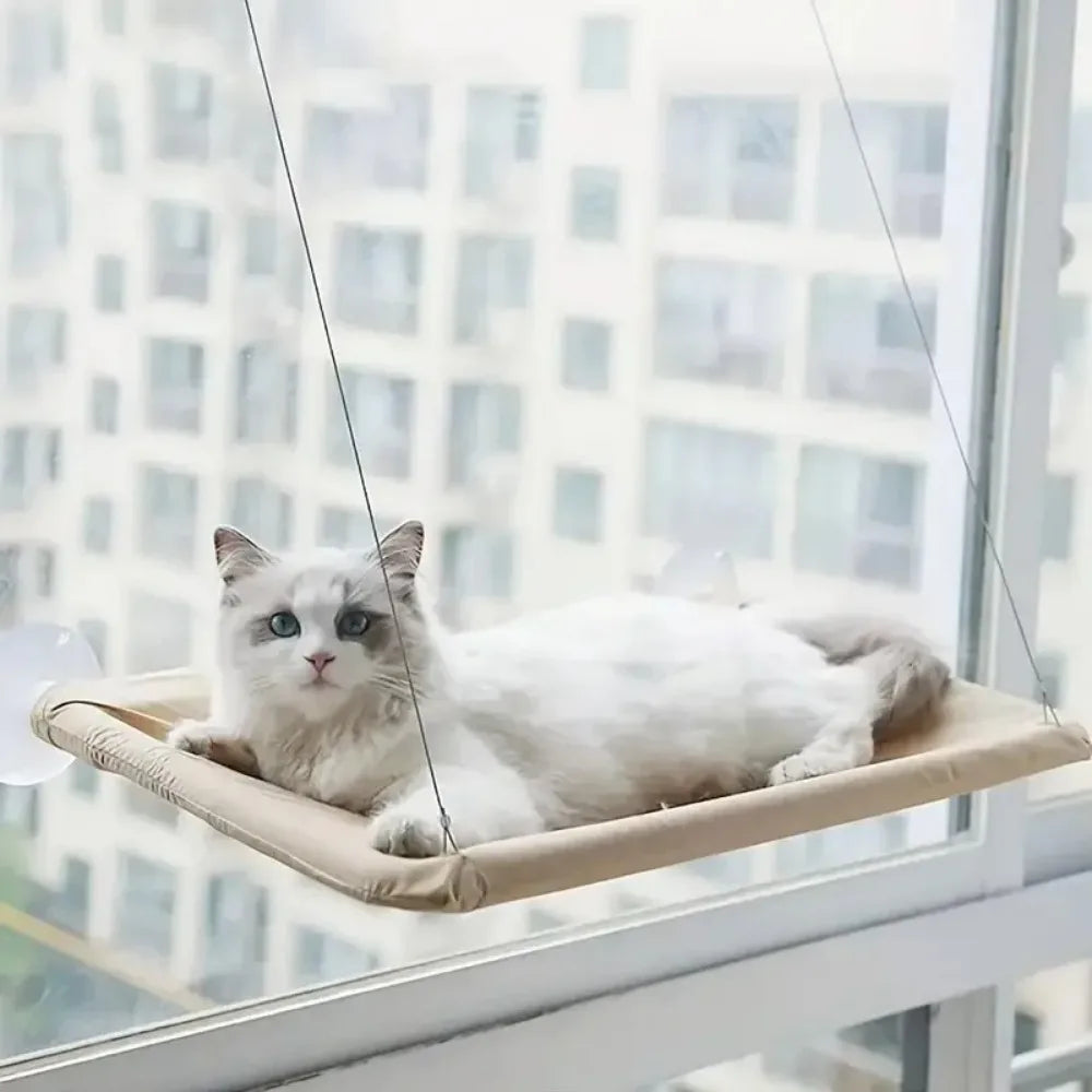 ☁️ Window Cat Hammock – Sunbeam Napping Just Got Luxurious!