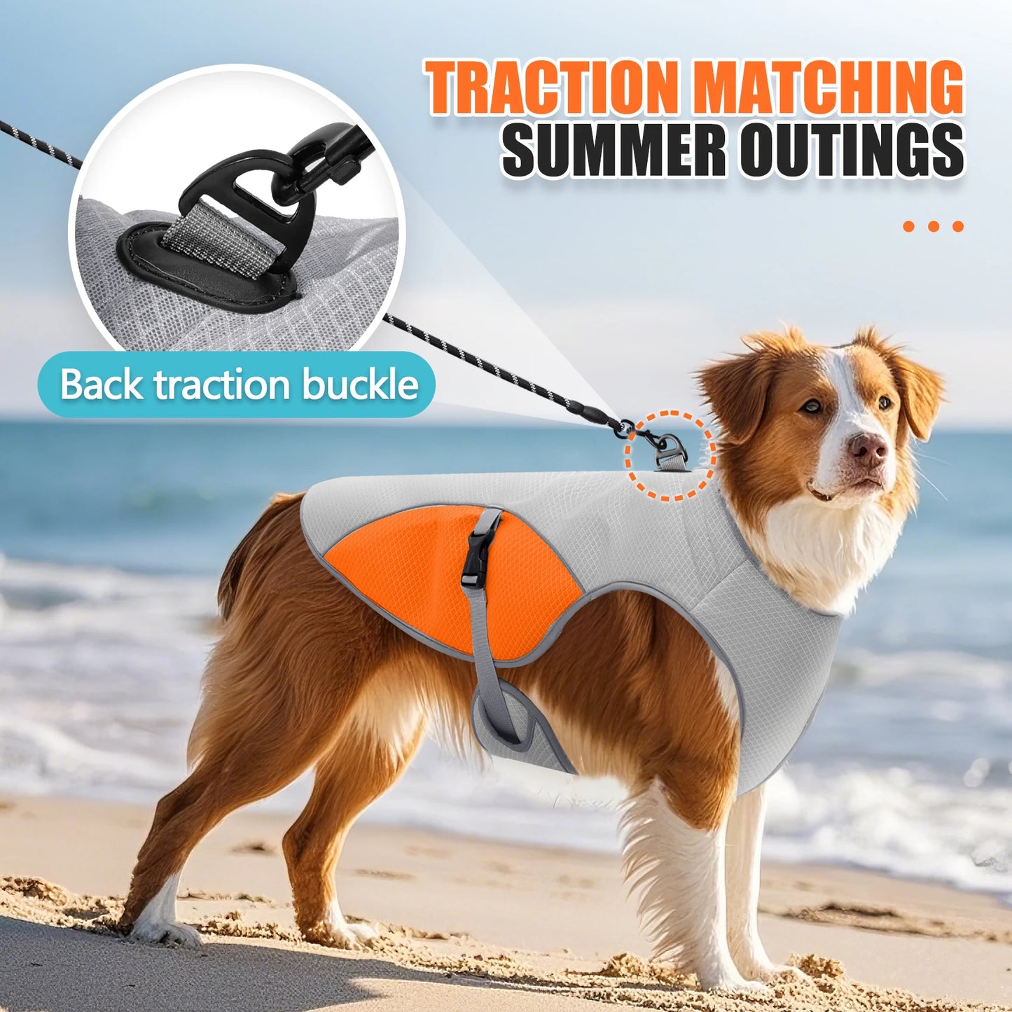 🐾 Instant Cooling Dog Vest with Harness & Water Bottle – Chill Out in Heat! ❄️