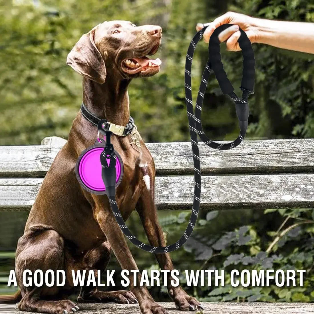 β¨π Reflective Strong Dog Leash β For All Sizes!