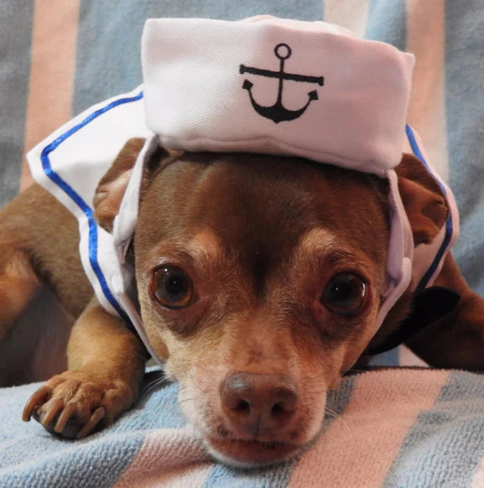 Pet Navy Outfit for Cats and Dogs of All Sizes