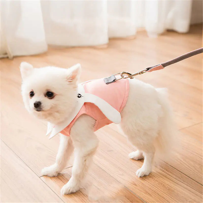 Pet Harness and Leash for Small Dogs and Cats