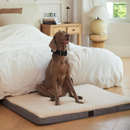 🛏️🐕 DaysU XL Orthopedic Dog Bed – Washable Cover & Egg Crate Foam!