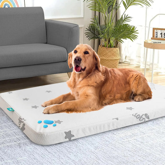 Biloban Waterproof Dog Beds for (Large) Dogs Washable Dog Bed Mat Pad or Pet Bed Memory Foam Dog Beds & Furniture for Small/Medium Large/XL/XXL Dogs with Removable Cover (Light Grey)