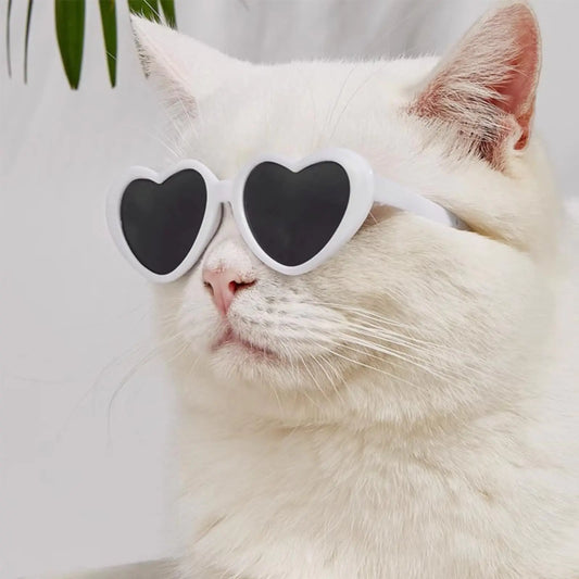 Cat/Dog Heart Shaped Sunglasses – Pet Stylish Funny Cute Dress Up Accessories for Festival Party Cosplay Outdoor Travel (white)