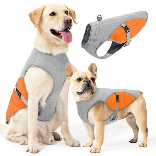 🐾 Instant Cooling Dog Vest with Harness & Water Bottle – Chill Out in Heat! ❄️