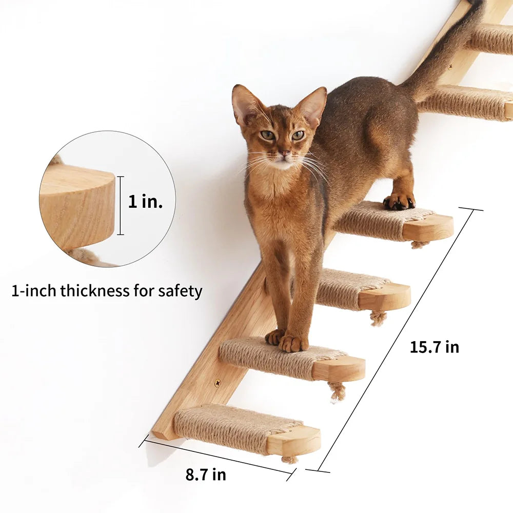 🐱🧗 Wall Cat Tree – Shelf, Hammock & Climbing Post!