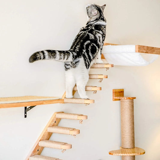🐱🪵 Wall-Mounted Cat Hammock & Scratching Post – Cozy & Fun!